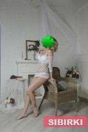  ( )